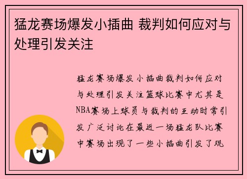 猛龙赛场爆发小插曲 裁判如何应对与处理引发关注